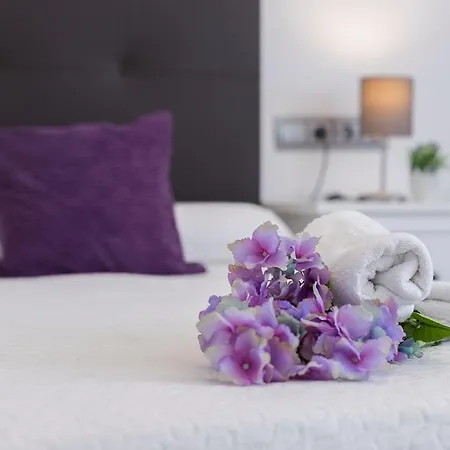 Luxe Vista Historico 5 4 Banos *